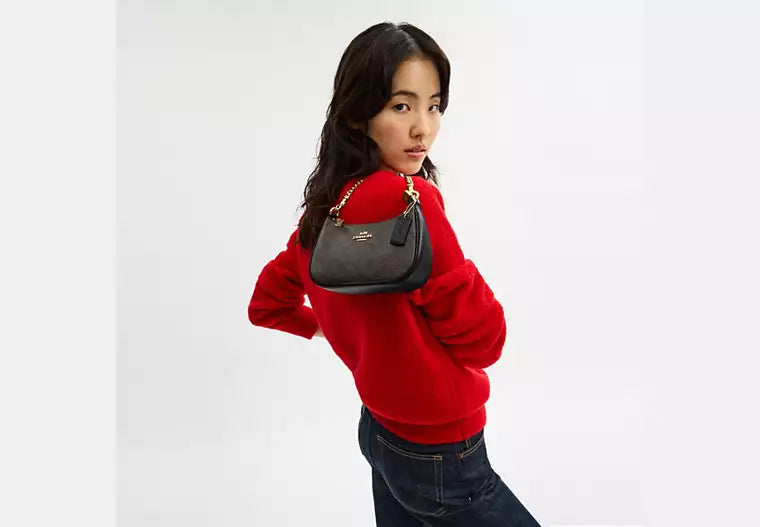 Coach Teri Mini Crossbody Bag In Signature Canvas